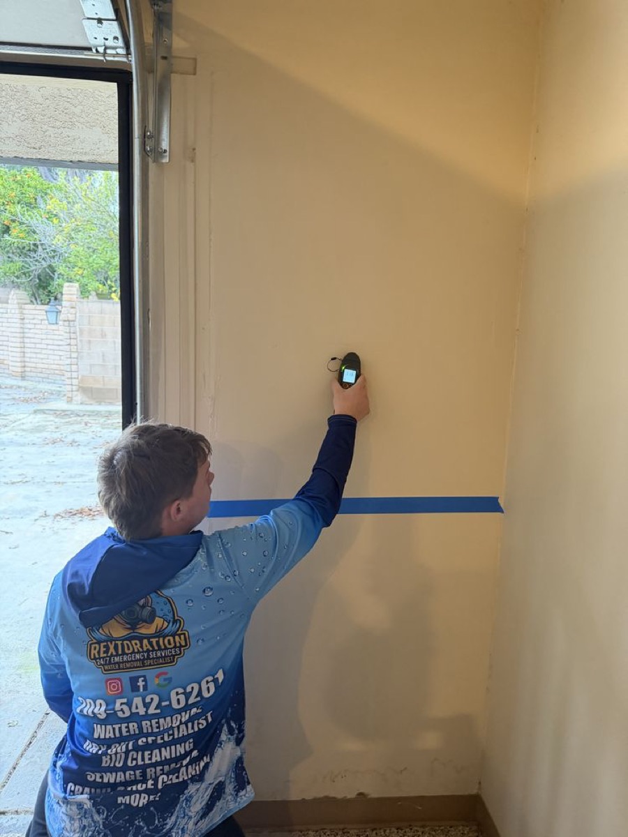 Rextoration technician taking moisture readings on a wall